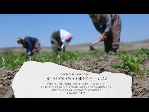 Charles Spurgeon - Devocional - De mañana oiré su voz - Marzo 2