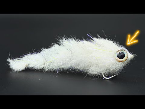 THIS Fly is A GAME CHANGER!!