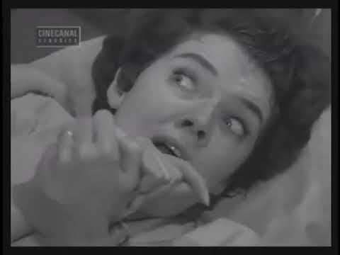 The Bruin Theatre - The Caretakers 1963