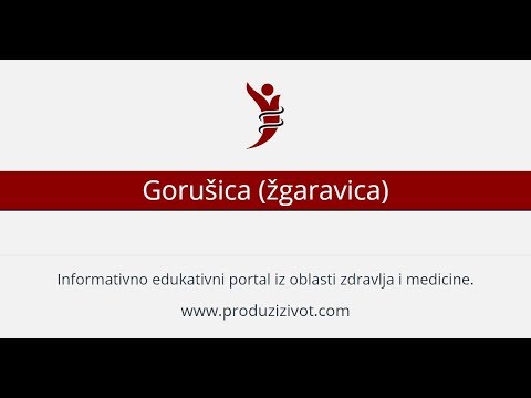 Gorušica