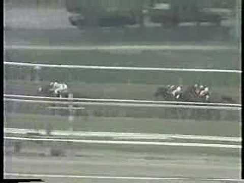 1988 San Pasqual Handicap