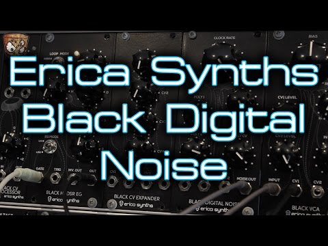 Erica Synths Black Digital Noise image 2