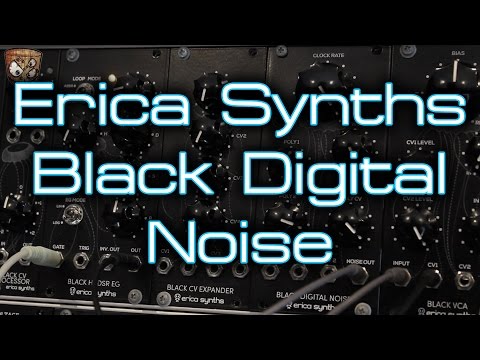 Erica Synths Black Digital Noise and CV Processor image 13