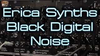 Erica Synths - Black Digital Noise