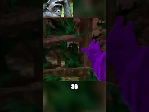 Signs Of TearLiner #gtag