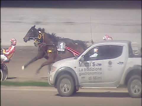 Trotto 20/12/2019 - 7ª corsa