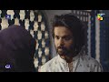 Ek Mazloom Aurat Aur Zakhmi Sherni Ka Waar Badshah Begum HUM TV