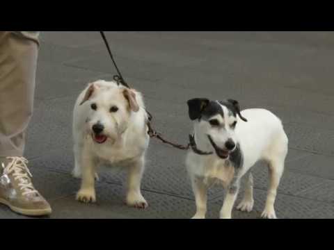 Rally Città di Pistoia 2018 - Toscana Motori 11ott18