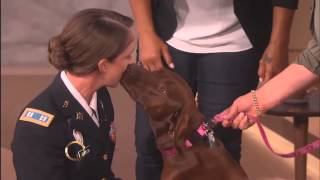 You would CRY when you watch Soldier Reunites with Her Dog on The Queen Latifah Show