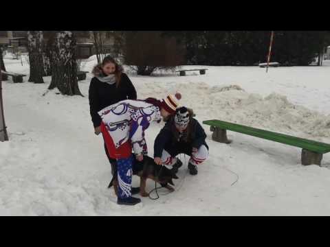 Winter classic Čestice