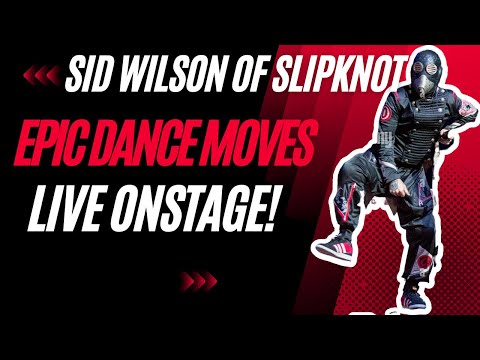 Watch Sid Wilson's Crazy Dance Moves That Had the Crowd Going Wild!