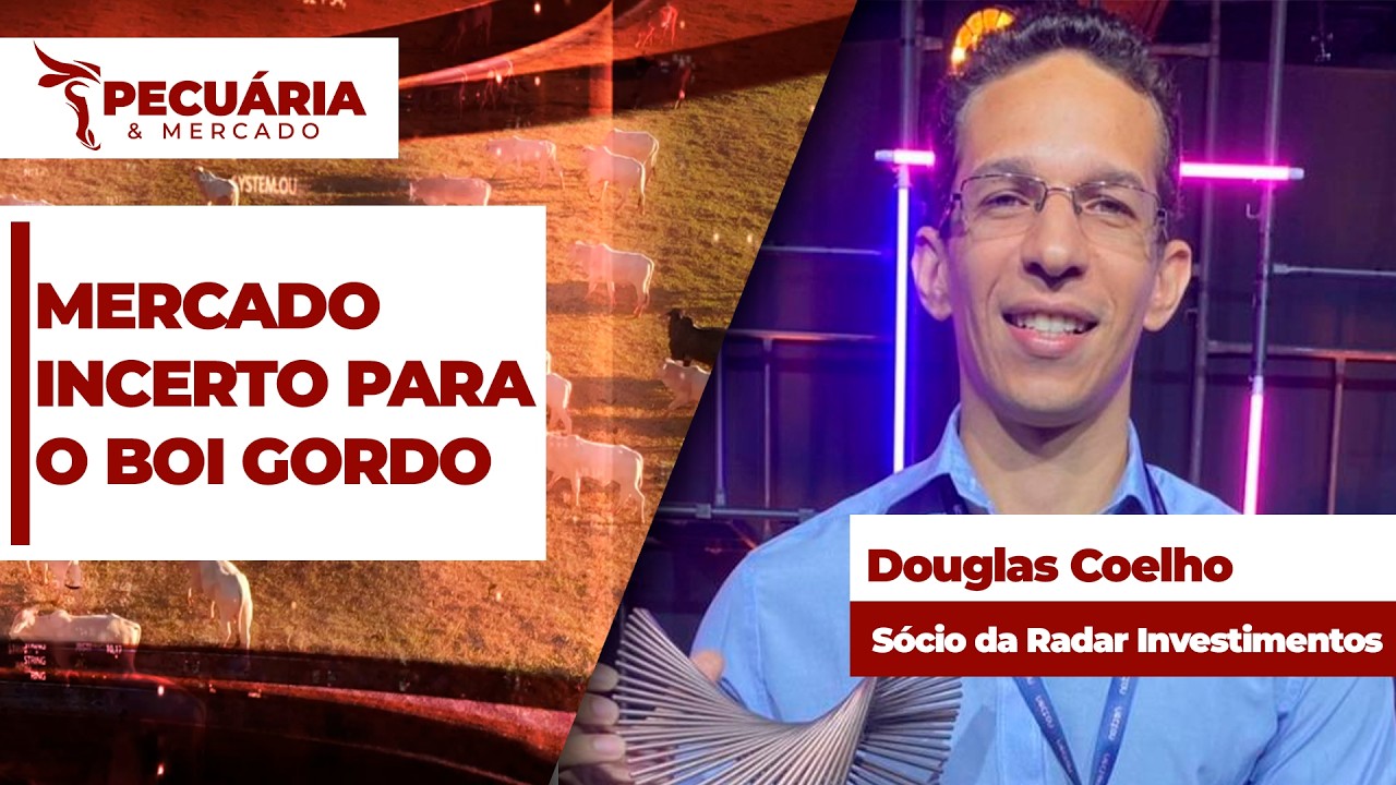Com liquidez limitada, mercado do boi gordo segue com pressão na arroba