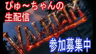 VALHEIM 　じっくり攻略　#10