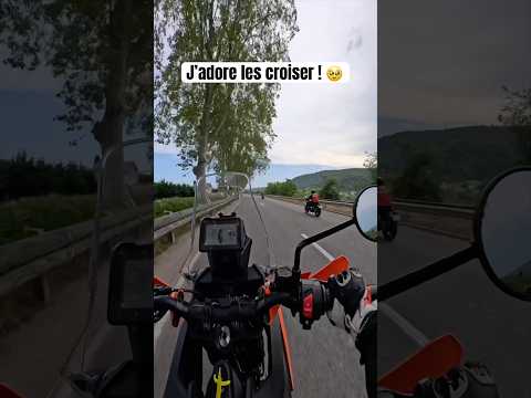 J’adore les croiser ! 🥹 #moto #motarde