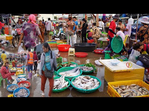 Cambodian Fish Market Video - Amazing Site Distribute Fish, Dry Fish & Seafood in Phnom Penh City