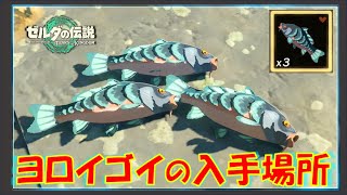 【ゼルダの伝説ティアキン】「ヨロイゴイ」が簡単に大量ゲットできる場所を紹介！防衛力アップLv.3の料理が作れます！