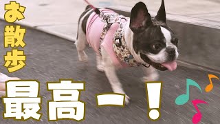 どうしても息が上がっちゃう愛犬😓