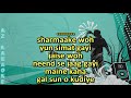 Main Nikla Gaddi Leke Karaoke with Scrolling Lyrics