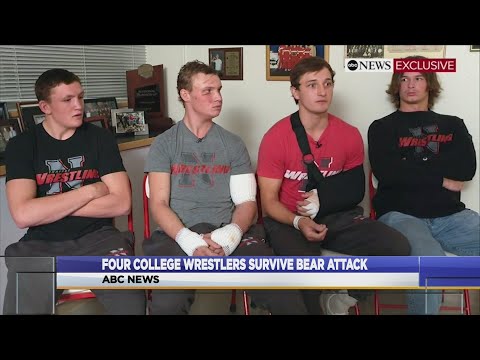 Four college wrestlers survive bear attack
