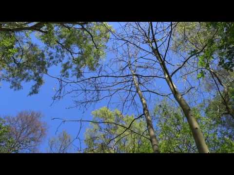 MAJ 2016 Międzywodzie 002