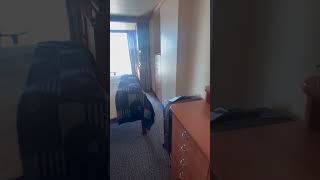 Disney Magic Cabin 6624 Deluxe Verandah