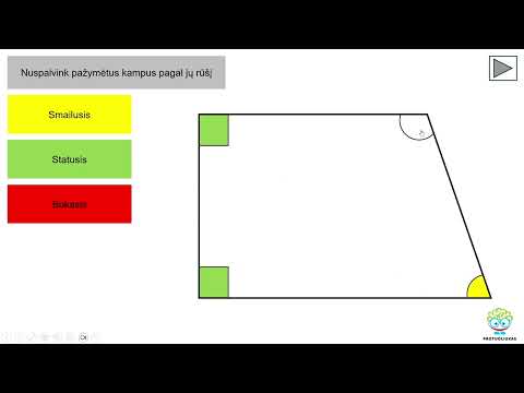 Kampų rūšys (Nr. 222)