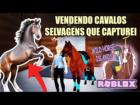 DOMANDO CAVALOS SELVAGENS COM MINHA ÉGUA E ARRUMANDO A FAZENDA! roleplay #2 - wild horse islands