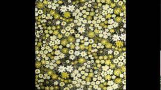 Silver Jews Buckingham Rabbit