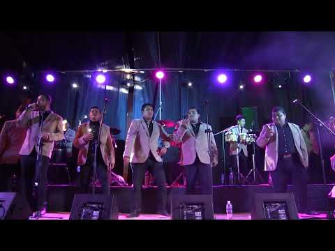 Armonia 10 - Que no daria (PALPA)