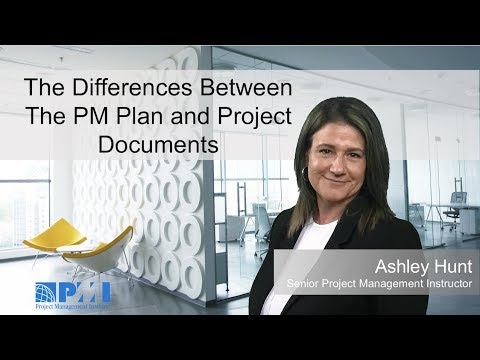 The Differences Between The PM Plan and Project Documents