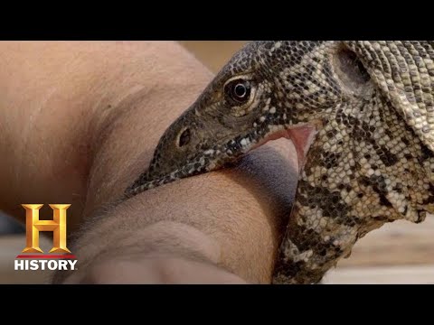 CRAZY LIZARD BITE LASTS 10 MINUTES! | Kings of Pain (Season 1) | History