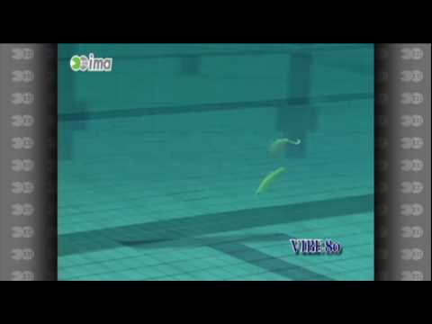 download lagu mp3 mp4 Vibe80, download lagu Vibe80 gratis, unduh video klip Download Vibe80 Mp3 dan Mp4 Viral Gratis