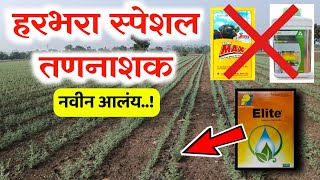 हरभरा / चना पिकासाठी स्पेशल तणनाशक 😳⚡ Harbhara Special tannashak