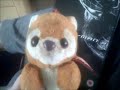 Raccoon Watches Sony Pictures Home Entertainment Logo On SpiderMan 3 Request Video For Marcus Miller