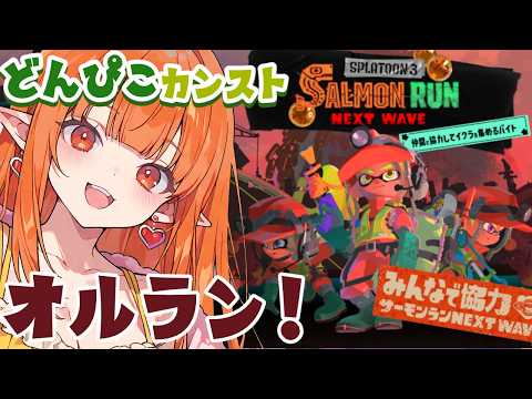 【スプラ3】クマフェスオルランカンストからのキケマ周回？🎍サモラン【Vtuber】スプラトゥーン3 どいつライカ #スプラトゥーン3 #splatoon3 #スプラ3 サーモンラン