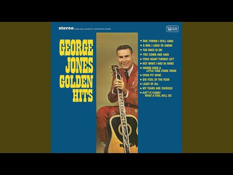 Big Fool Of The Year