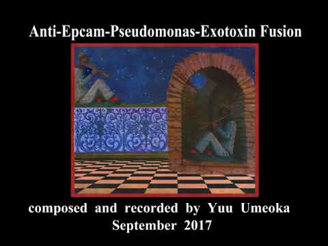 Anti-Epcam-Pseudomonas-Exotoxin Fusion / Yuu Umeoka