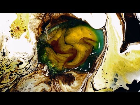 download lagu mp3 mp4 Rachel Rose, download mp3 Rachel Rose free downloadn, video klip Rachel Rose