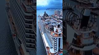 MSC SEAVIEW  navio cruzeiro ship  transatlantico cruise  santos brasil @cruzeiros2025  2025  #shorts