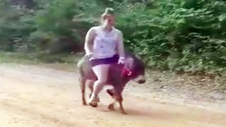 Girl Donkey Riding - LIVE - Riding Lovers Official