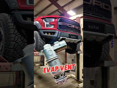 2020 Ford Raptor/F-150 Vent Canister Purge Solonoid. (EVAP VENT)