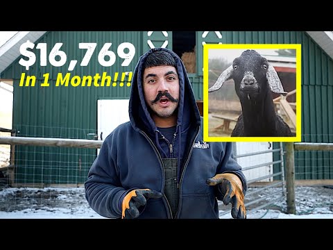 10 BETTER WAYS To MAKE MONEY HOMESTEADING