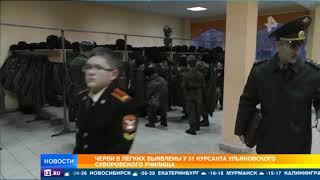 Черви калифорнийские в Ульяновске