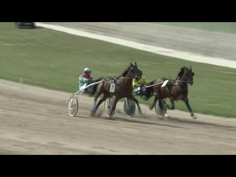 2017.06.04. 4. futam - AMATŐRVERSENY HENDIKEP