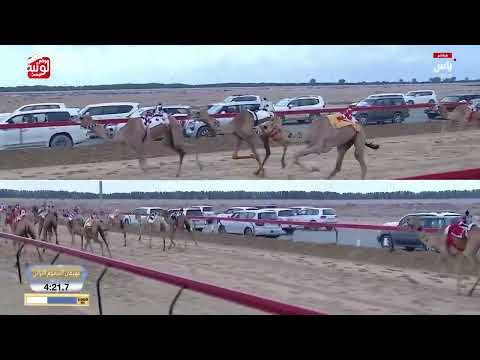 ش 7 (العنود) لـ مسعود سعيد ناصر الزرعي 7:23:70 ، ختامي المرموم 2026/03/24 لقايا