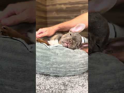 Video 3