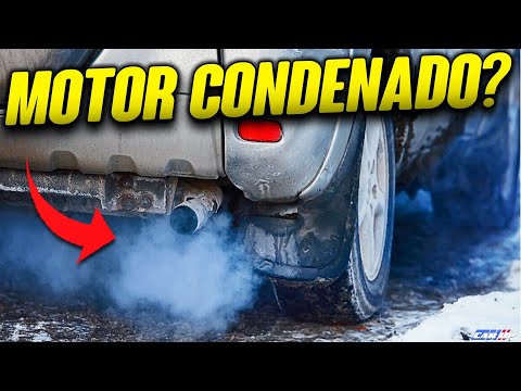 MOTOR FUMANDO? FUMAÇA AZUL SAINDO DO ESCAPAMENTO? O que pode ser...