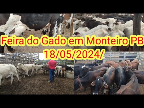 Feira do Gado em Monteiro PB 18/05/2024/