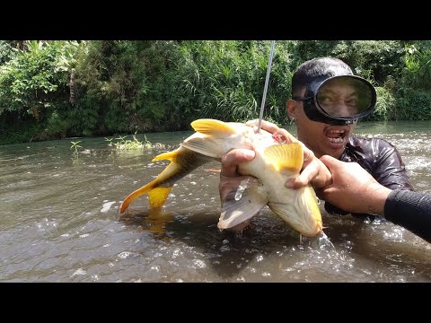 SE03EP025 Part 1 - MATINDING PAG BABALIK | Ang NAG NGINGIT NGIT na SUPER KARPA | San Pablo City, Lag