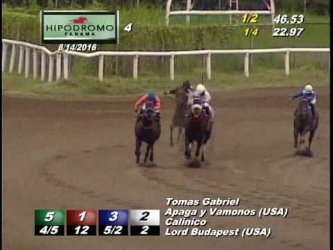 4TA CARRERA DOMINGO 14 DE AGOSTO 2016 HPR